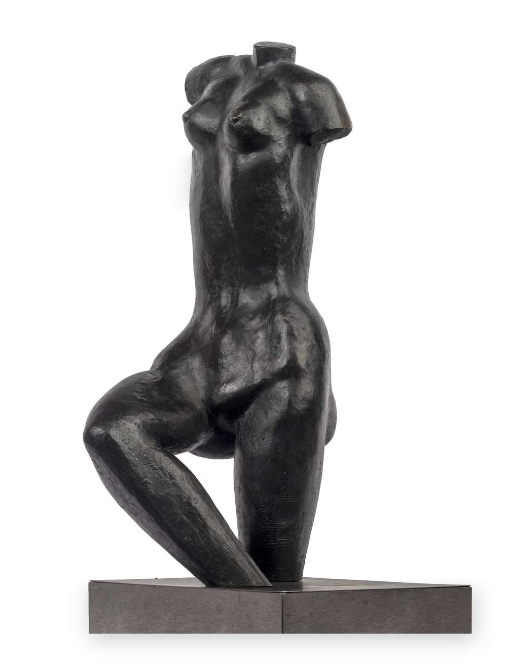 Venus negra